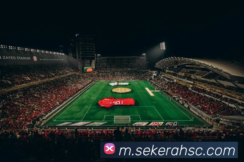 新利体育网页版APP 封面图